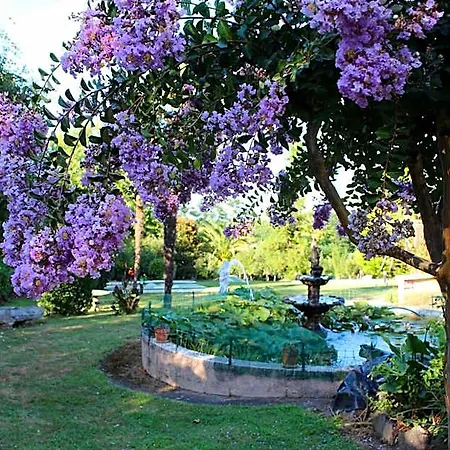 Aux Tauzins Hotel Montfort-en-Chalosse